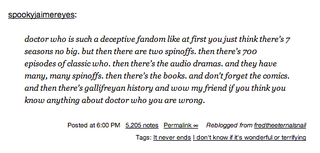 Illustration for article titled The way in which Doctor Who has ruined my life*